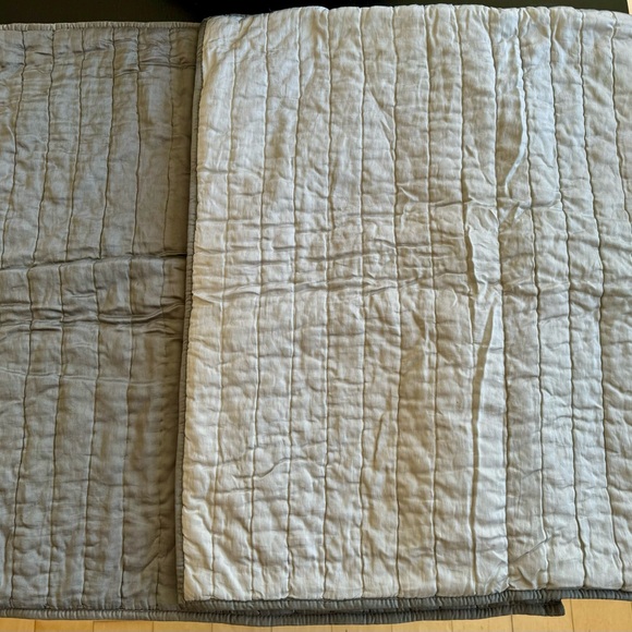 (2) Pottery Barn Quilted Silk/Cotton Euro Sham - Picture 1 of 4